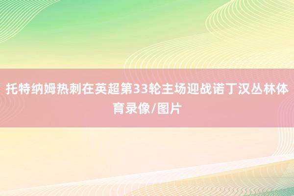 托特纳姆热刺在英超第33轮主场迎战诺丁汉丛林体育录像/图片