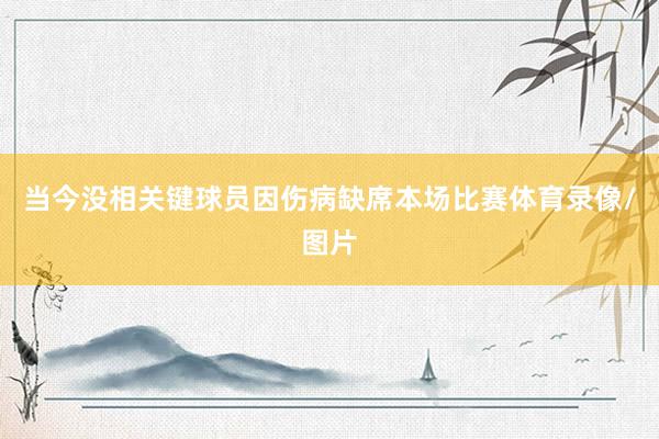 当今没相关键球员因伤病缺席本场比赛体育录像/图片