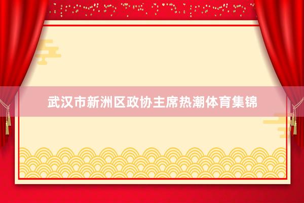 武汉市新洲区政协主席热潮体育集锦