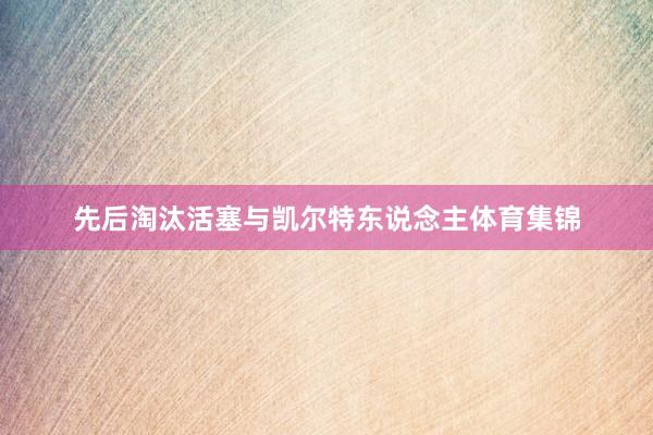 先后淘汰活塞与凯尔特东说念主体育集锦