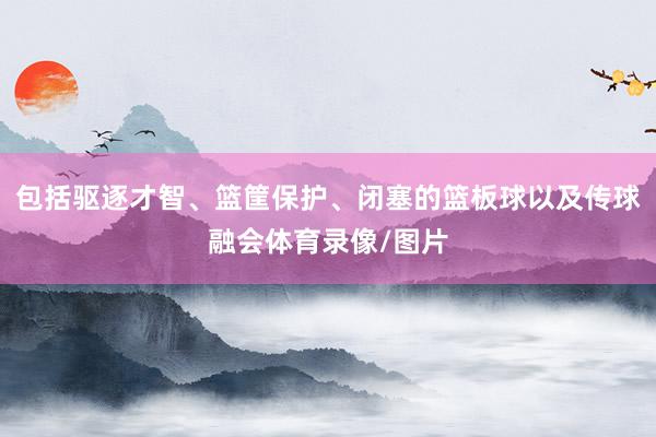 包括驱逐才智、篮筐保护、闭塞的篮板球以及传球融会体育录像/图片
