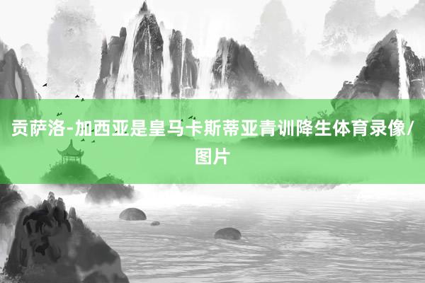 贡萨洛-加西亚是皇马卡斯蒂亚青训降生体育录像/图片