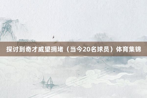 探讨到奇才威望拥堵（当今20名球员）体育集锦