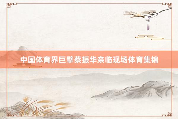 中国体育界巨擘蔡振华亲临现场体育集锦