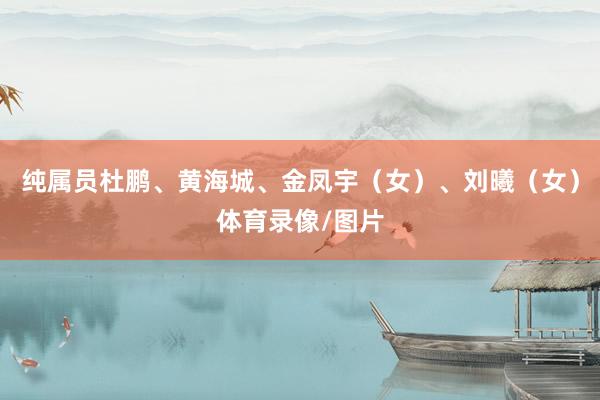 纯属员杜鹏、黄海城、金凤宇（女）、刘曦（女）体育录像/图片