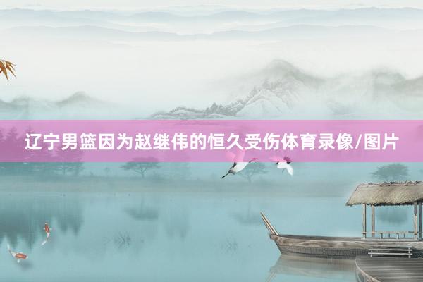 辽宁男篮因为赵继伟的恒久受伤体育录像/图片