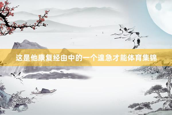 这是他康复经由中的一个遑急才能体育集锦