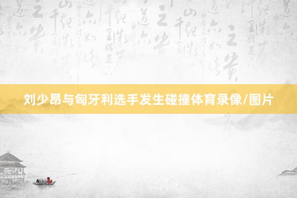 刘少昂与匈牙利选手发生碰撞体育录像/图片