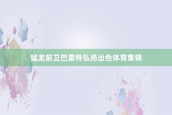 猛龙前卫巴雷特弘扬出色体育集锦