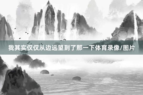 我其实仅仅从边远望到了那一下体育录像/图片