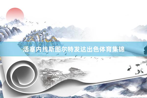 活塞内线斯图尔特发达出色体育集锦