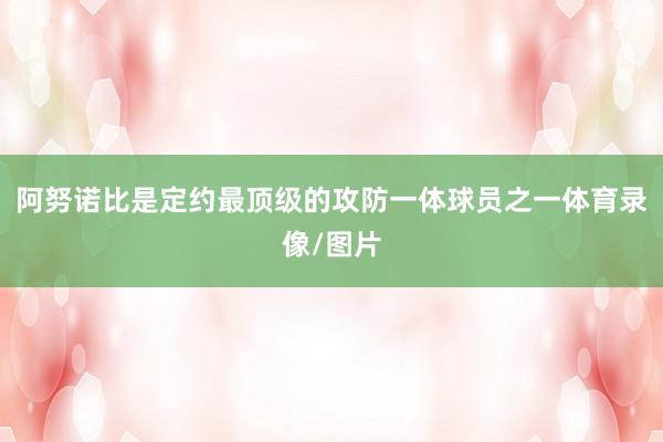 阿努诺比是定约最顶级的攻防一体球员之一体育录像/图片