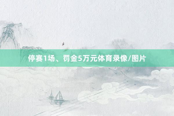 停赛1场、罚金5万元体育录像/图片